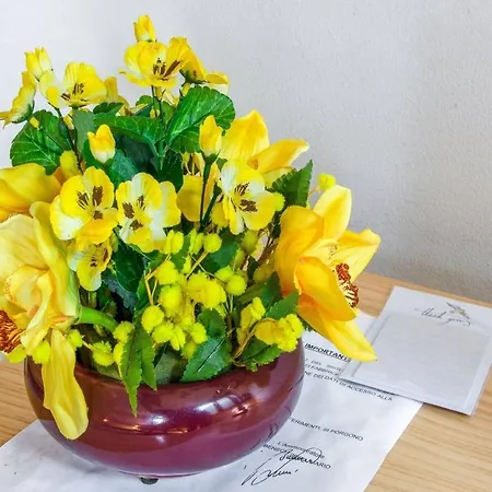 Escargot Lejlighed Breuil-Cervinia